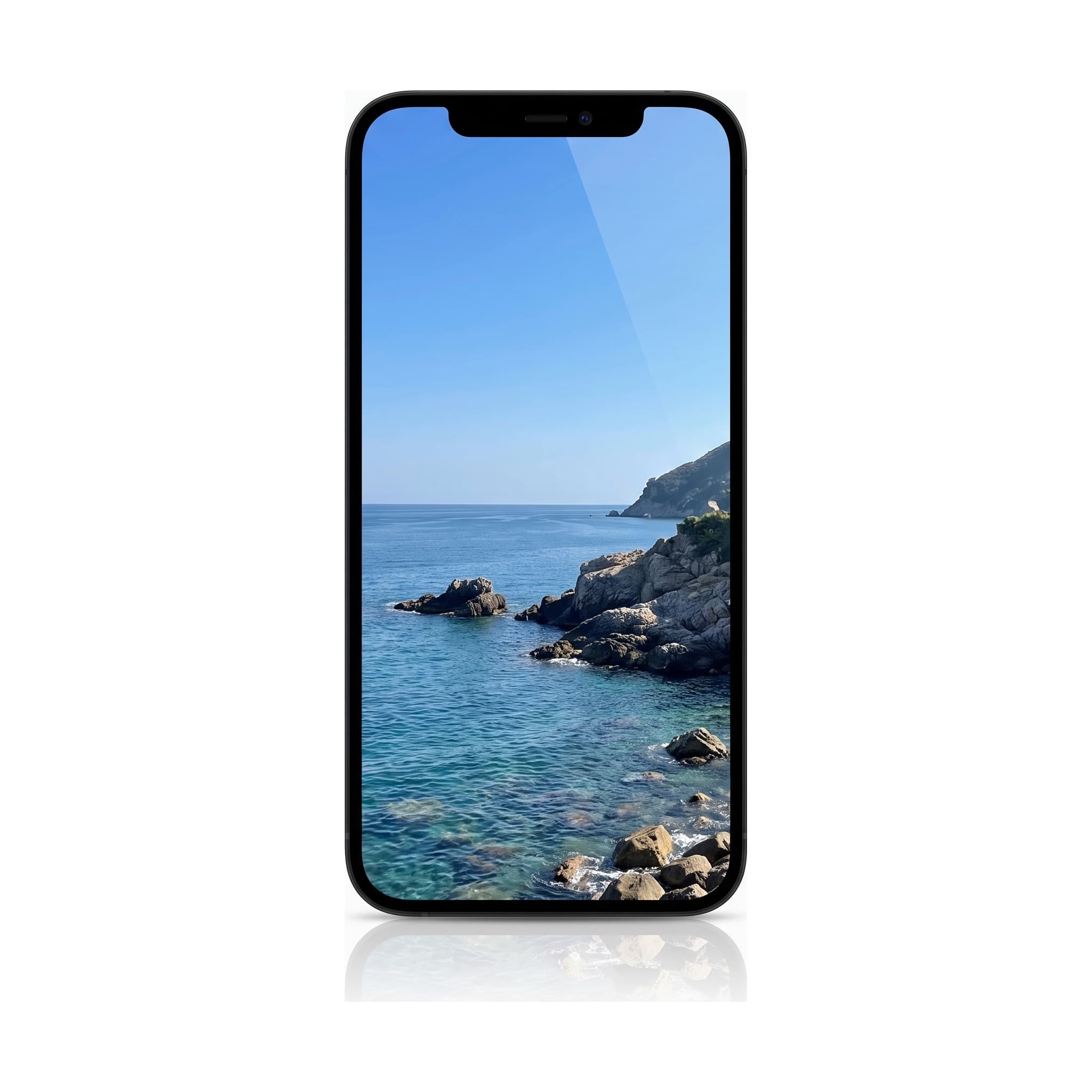 iPhone 11 Incell LCD Screen